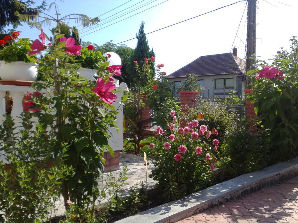 Kristaly Apartman Bed and Breakfast Hévíz Buitenkant foto